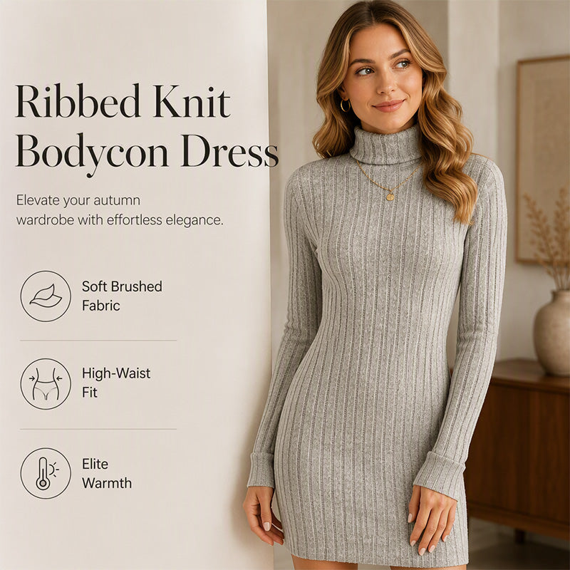 Women's Ribbed Turtleneck Long Sleeve Sweater Dress mysite